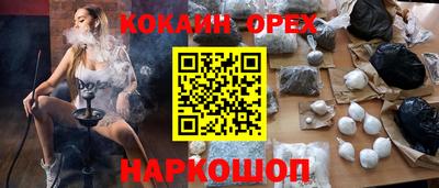 крисы Пенза