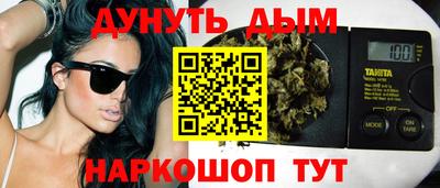 крисы Пенза