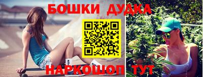 крисы Пенза