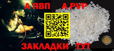 крисы Пенза