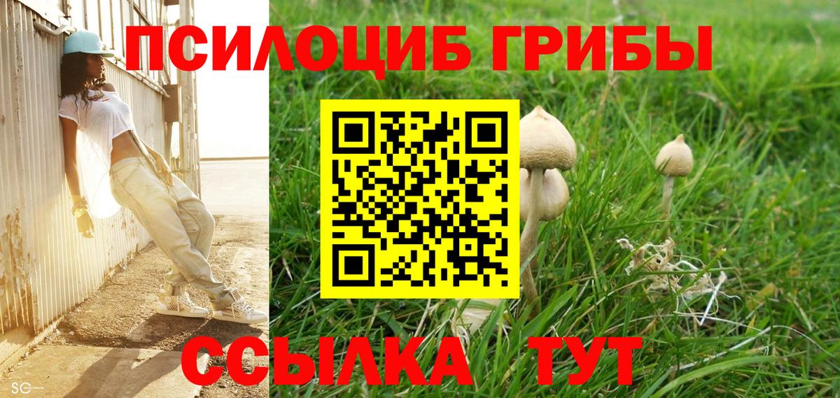 Псилоцибиновые грибы мицелий Тара