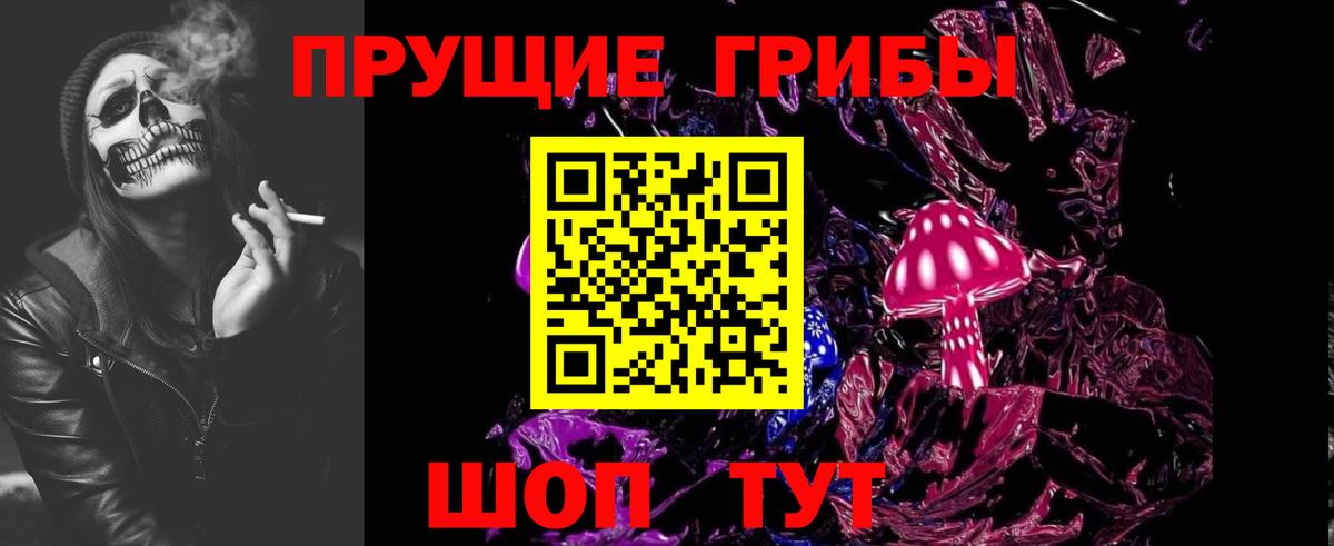 Псилоцибиновые грибы Cubensis  Вход с VPN  Тара  Псилоцибиновые грибы ЛСД 